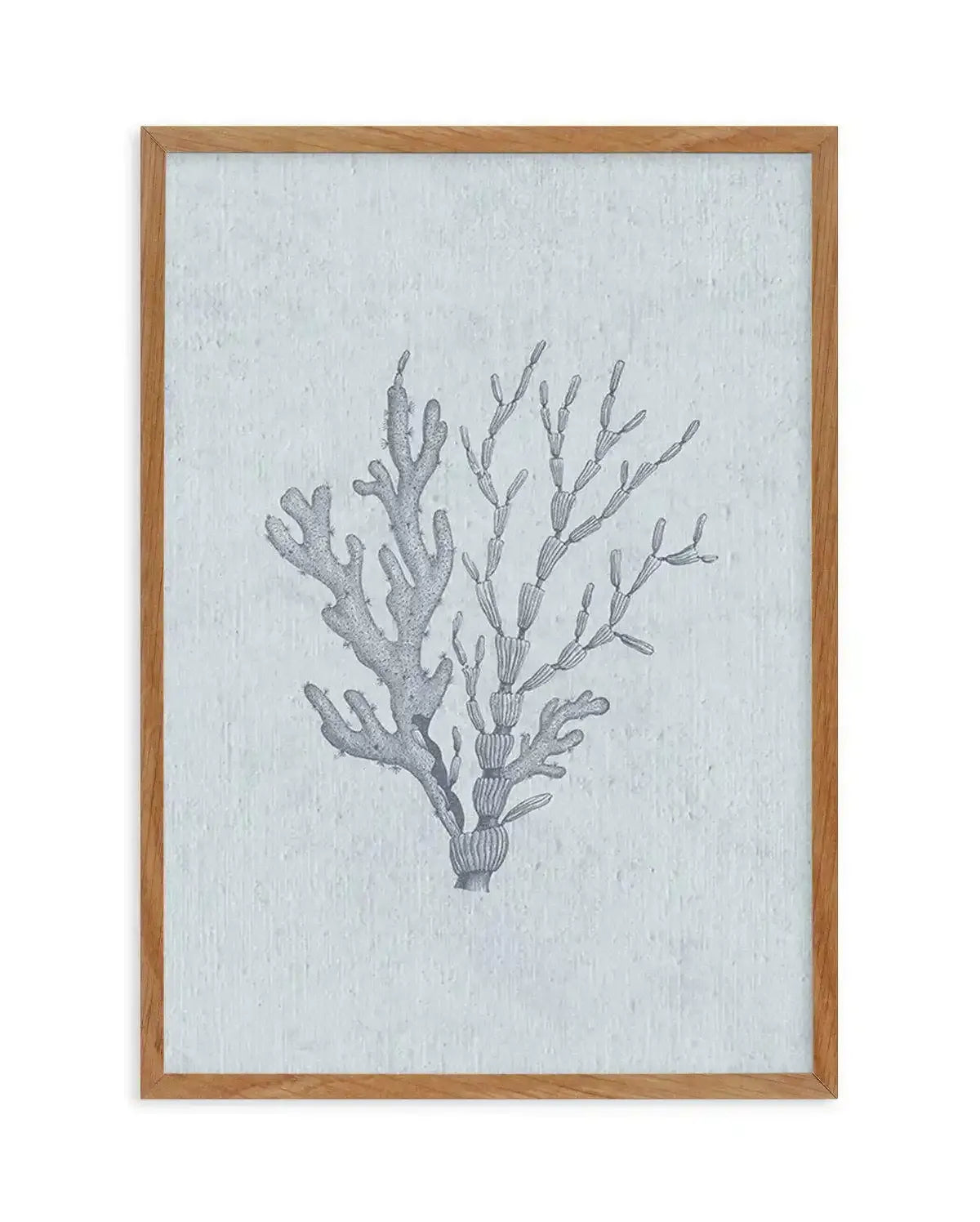 Hamptons Seaside Collection IV Blue Art Print-PRINT-Olive et Oriel-Olive et Oriel-Buy-Australian-Art-Prints-Online-with-Olive-et-Oriel-Your-Artwork-Specialists-Austrailia-Decorate-With-Coastal-Photo-Wall-Art-Prints-From-Our-Beach-House-Artwork-Collection-Fine-Poster-and-Framed-Artwork