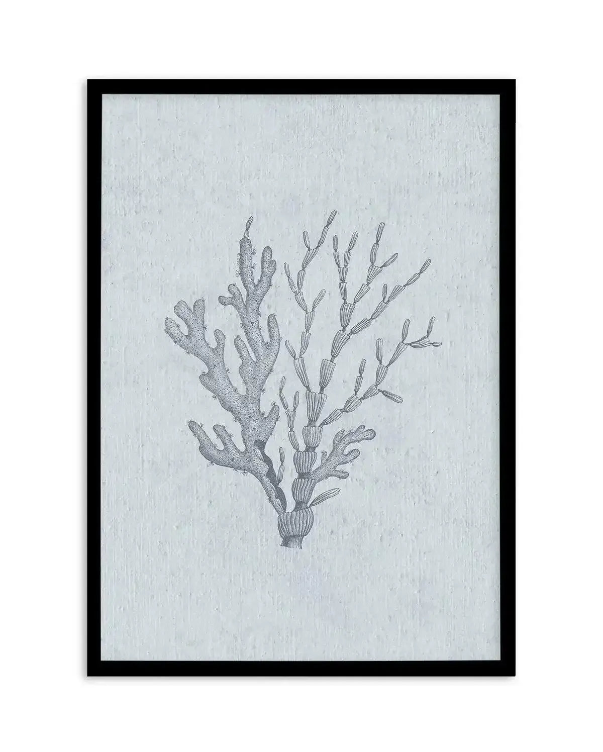 Hamptons Seaside Collection IV Blue Art Print-PRINT-Olive et Oriel-Olive et Oriel-A5 | 5.8" x 8.3" | 14.8 x 21cm-Black-With White Border-Buy-Australian-Art-Prints-Online-with-Olive-et-Oriel-Your-Artwork-Specialists-Austrailia-Decorate-With-Coastal-Photo-Wall-Art-Prints-From-Our-Beach-House-Artwork-Collection-Fine-Poster-and-Framed-Artwork