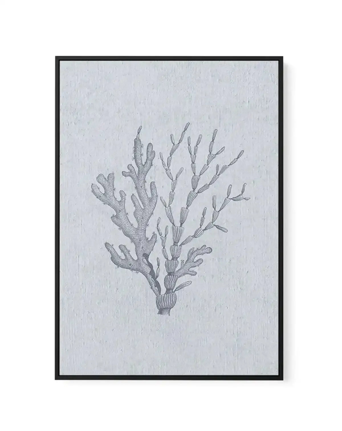 Hamptons Seaside Collection IV Blue | Framed Canvas-CANVAS-You can shop wall art online with Olive et Oriel for everything from abstract art to fun kids wall art. Our beautiful modern art prints and canvas art are available from large canvas prints to wall art paintings and our proudly Australian artwork collection offers only the highest quality framed large wall art and canvas art Australia - You can buy fashion photography prints or Hampton print posters and paintings on canvas from Olive et 