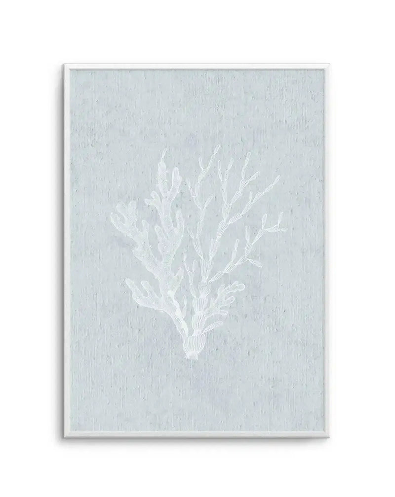 Framed art print featuring a delicate white botanical illustration of a branching seaweed or coral specimen against a soft pale blue-green background with a subtle textured finish. The white linear drawing shows intricate branching details rendered in a minimalist style. The artwork is displayed in a white frame with a white border.