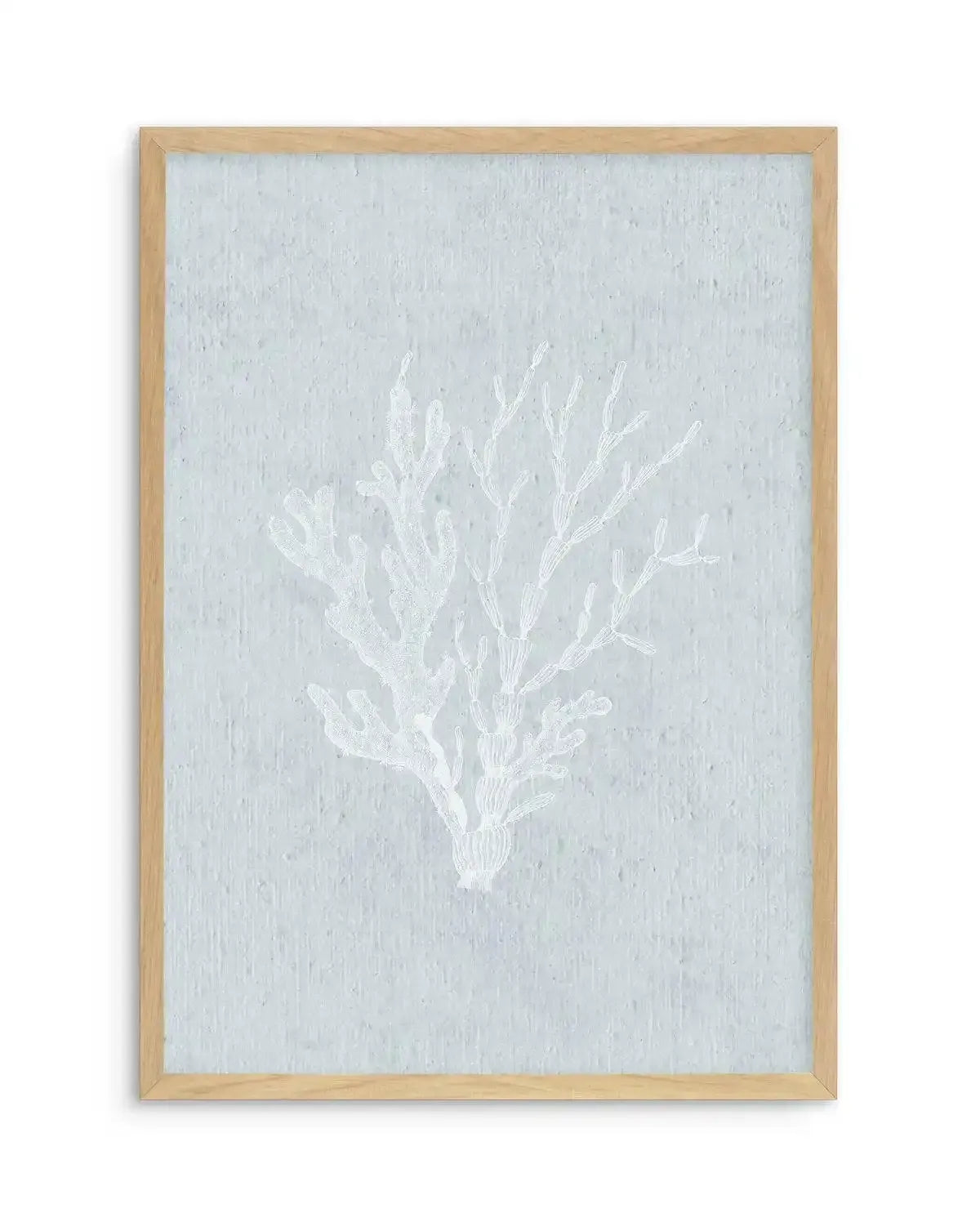 Hamptons Seaside Collection IV White Art Print-PRINT-Olive et Oriel-Olive et Oriel-A5 | 5.8" x 8.3" | 14.8 x 21cm-Oak-With White Border-Buy-Australian-Art-Prints-Online-with-Olive-et-Oriel-Your-Artwork-Specialists-Austrailia-Decorate-With-Coastal-Photo-Wall-Art-Prints-From-Our-Beach-House-Artwork-Collection-Fine-Poster-and-Framed-Artwork