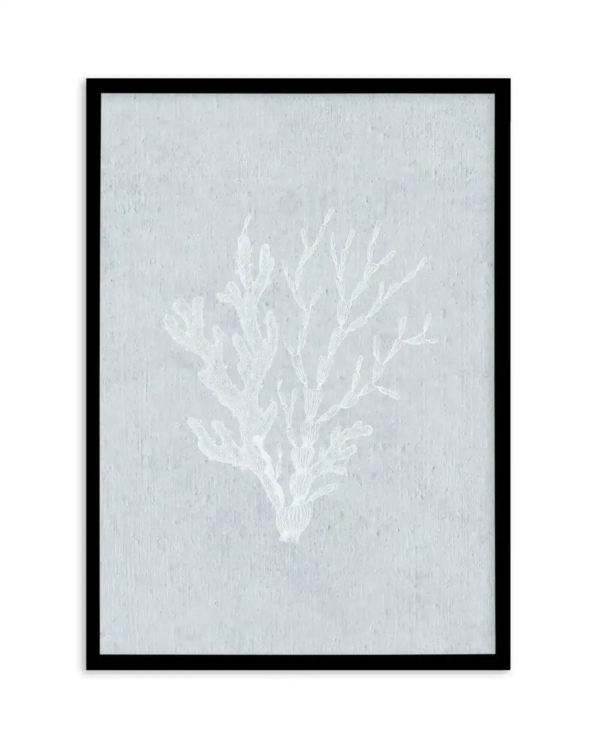 Hamptons Seaside Collection IV White Art Print-PRINT-Olive et Oriel-Olive et Oriel-A5 | 5.8" x 8.3" | 14.8 x 21cm-Black-With White Border-Buy-Australian-Art-Prints-Online-with-Olive-et-Oriel-Your-Artwork-Specialists-Austrailia-Decorate-With-Coastal-Photo-Wall-Art-Prints-From-Our-Beach-House-Artwork-Collection-Fine-Poster-and-Framed-Artwork