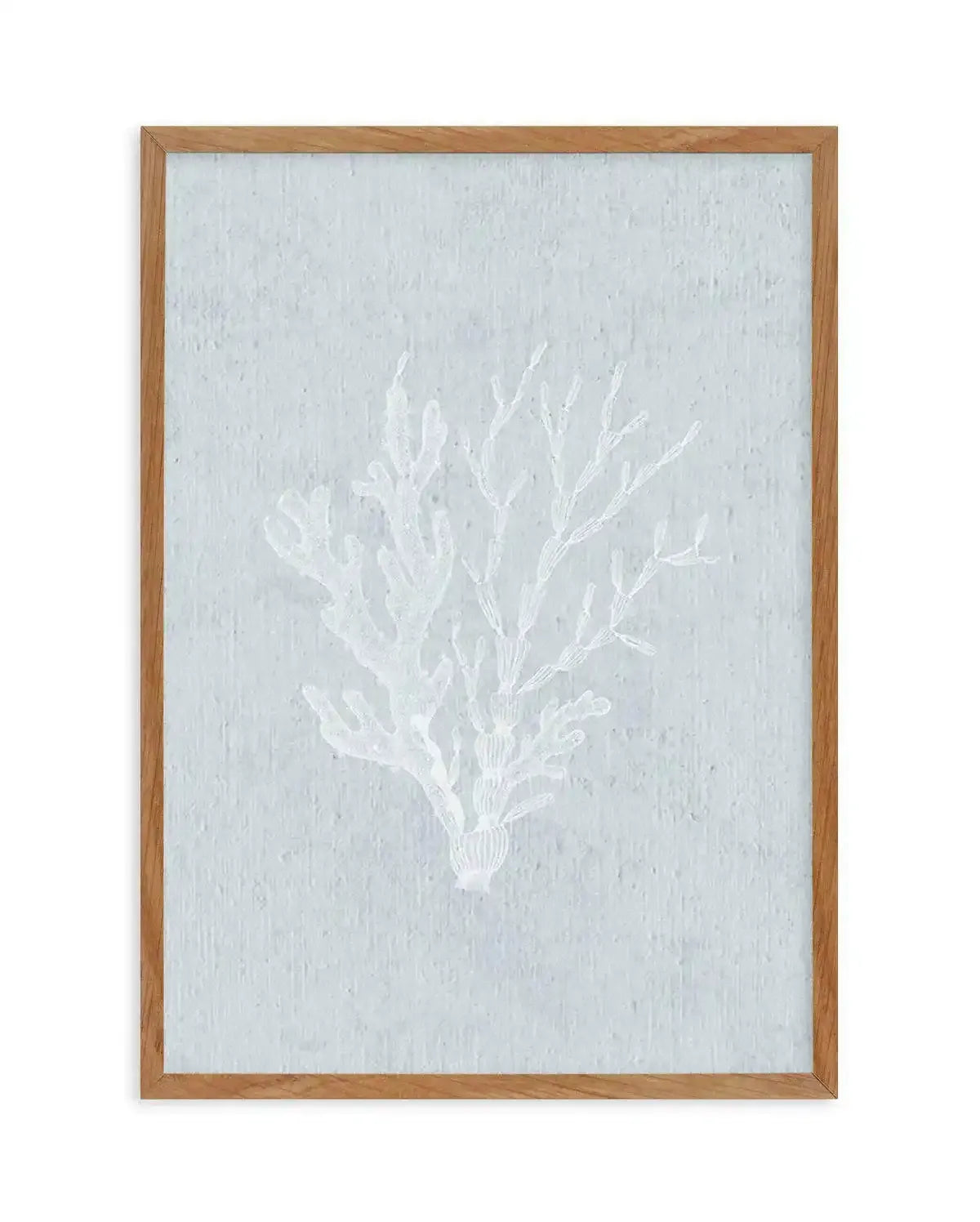 Hamptons Seaside Collection IV White Art Print-PRINT-Olive et Oriel-Olive et Oriel-Buy-Australian-Art-Prints-Online-with-Olive-et-Oriel-Your-Artwork-Specialists-Austrailia-Decorate-With-Coastal-Photo-Wall-Art-Prints-From-Our-Beach-House-Artwork-Collection-Fine-Poster-and-Framed-Artwork