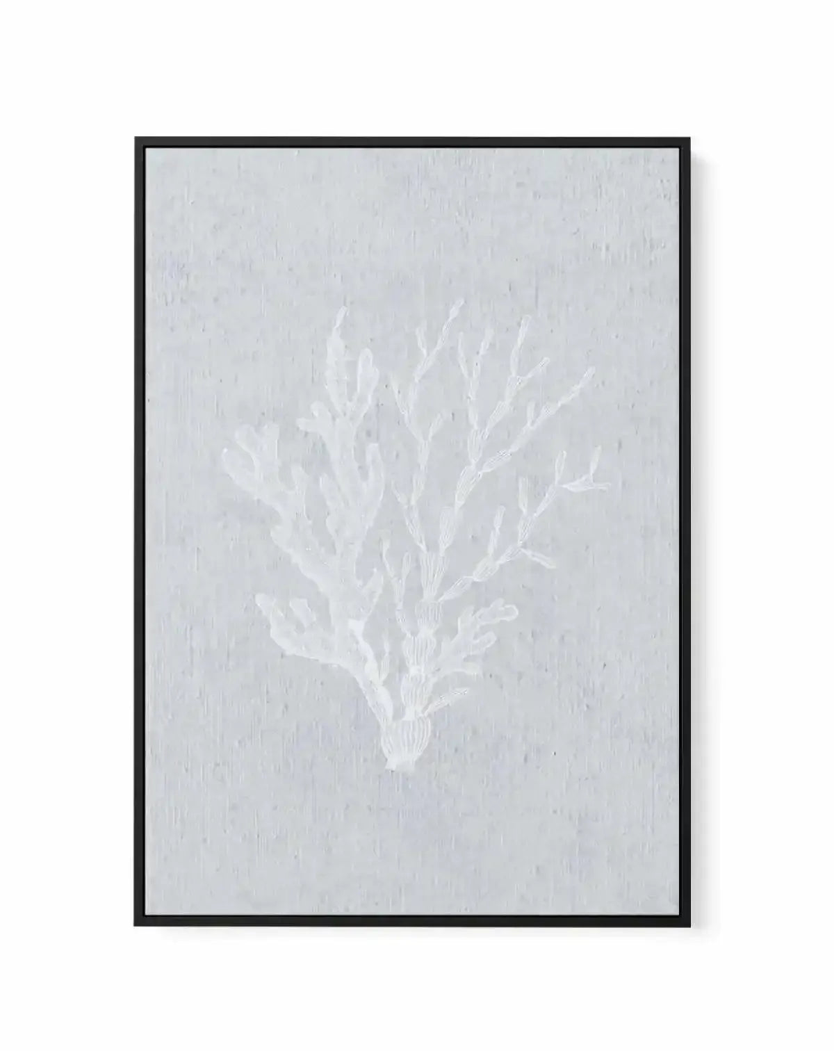 Hamptons Seaside Collection IV White | Framed Canvas-CANVAS-You can shop wall art online with Olive et Oriel for everything from abstract art to fun kids wall art. Our beautiful modern art prints and canvas art are available from large canvas prints to wall art paintings and our proudly Australian artwork collection offers only the highest quality framed large wall art and canvas art Australia - You can buy fashion photography prints or Hampton print posters and paintings on canvas from Olive et