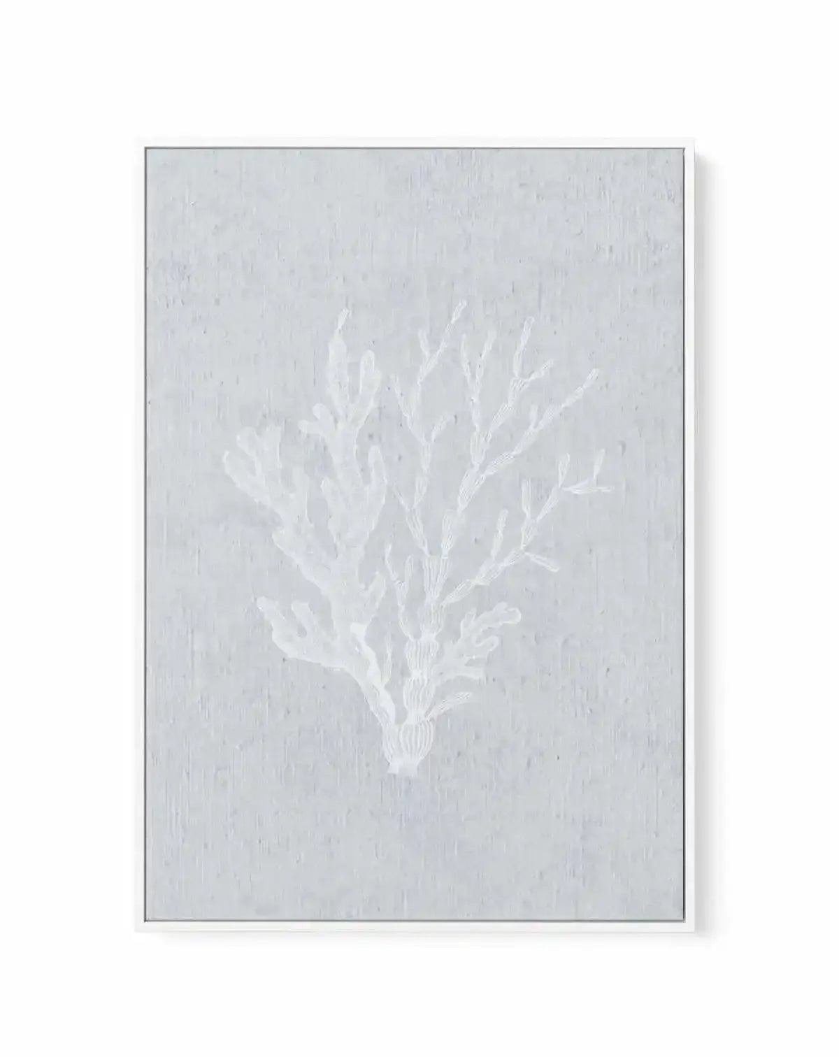 Hamptons Seaside Collection IV White | Framed Canvas-CANVAS-You can shop wall art online with Olive et Oriel for everything from abstract art to fun kids wall art. Our beautiful modern art prints and canvas art are available from large canvas prints to wall art paintings and our proudly Australian artwork collection offers only the highest quality framed large wall art and canvas art Australia - You can buy fashion photography prints or Hampton print posters and paintings on canvas from Olive et