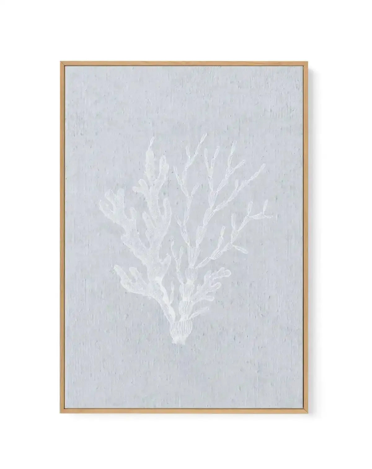 Hamptons Seaside Collection IV White | Framed Canvas-CANVAS-You can shop wall art online with Olive et Oriel for everything from abstract art to fun kids wall art. Our beautiful modern art prints and canvas art are available from large canvas prints to wall art paintings and our proudly Australian artwork collection offers only the highest quality framed large wall art and canvas art Australia - You can buy fashion photography prints or Hampton print posters and paintings on canvas from Olive et