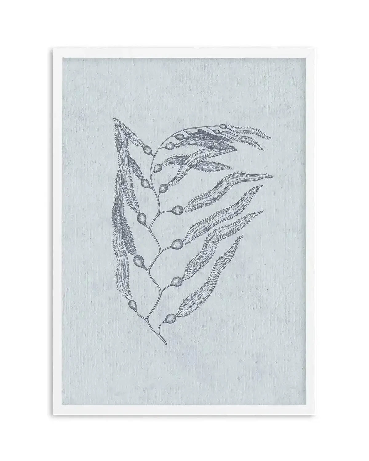 Hamptons Seaside Collection V Blue Art Print-PRINT-Olive et Oriel-Olive et Oriel-A5 | 5.8" x 8.3" | 14.8 x 21cm-White-With White Border-Buy-Australian-Art-Prints-Online-with-Olive-et-Oriel-Your-Artwork-Specialists-Austrailia-Decorate-With-Coastal-Photo-Wall-Art-Prints-From-Our-Beach-House-Artwork-Collection-Fine-Poster-and-Framed-Artwork