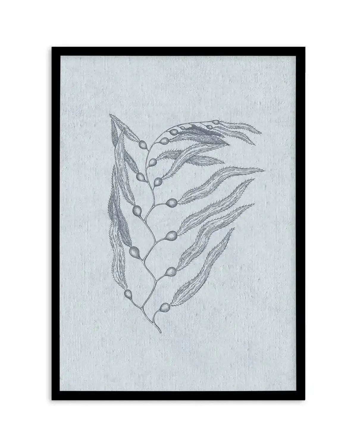 Hamptons Seaside Collection V Blue Art Print-PRINT-Olive et Oriel-Olive et Oriel-A5 | 5.8" x 8.3" | 14.8 x 21cm-Black-With White Border-Buy-Australian-Art-Prints-Online-with-Olive-et-Oriel-Your-Artwork-Specialists-Austrailia-Decorate-With-Coastal-Photo-Wall-Art-Prints-From-Our-Beach-House-Artwork-Collection-Fine-Poster-and-Framed-Artwork