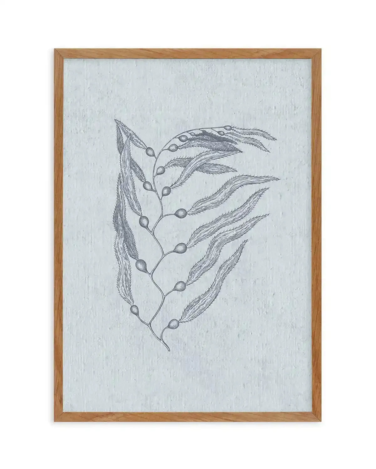 Hamptons Seaside Collection V Blue Art Print-PRINT-Olive et Oriel-Olive et Oriel-Buy-Australian-Art-Prints-Online-with-Olive-et-Oriel-Your-Artwork-Specialists-Austrailia-Decorate-With-Coastal-Photo-Wall-Art-Prints-From-Our-Beach-House-Artwork-Collection-Fine-Poster-and-Framed-Artwork