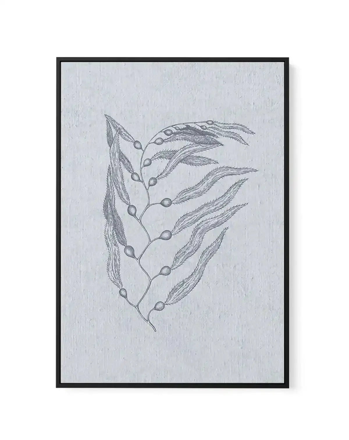 Hamptons Seaside Collection V Blue | Framed Canvas-CANVAS-You can shop wall art online with Olive et Oriel for everything from abstract art to fun kids wall art. Our beautiful modern art prints and canvas art are available from large canvas prints to wall art paintings and our proudly Australian artwork collection offers only the highest quality framed large wall art and canvas art Australia - You can buy fashion photography prints or Hampton print posters and paintings on canvas from Olive et O