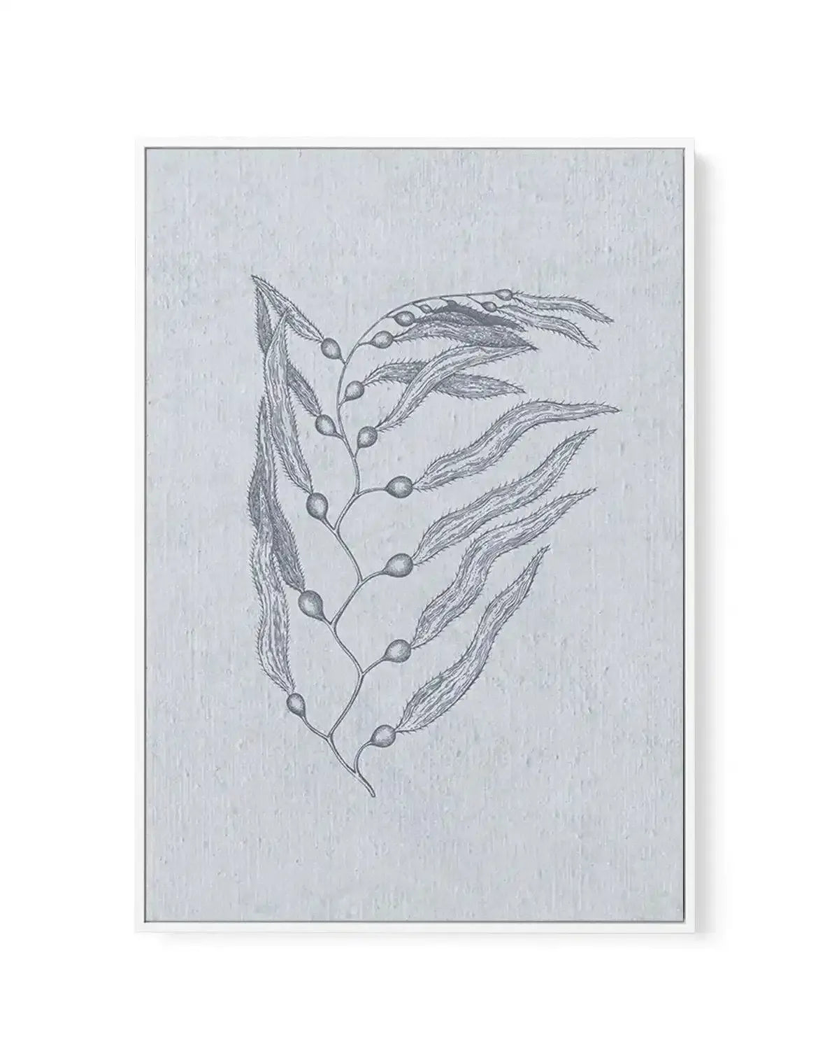 Hamptons Seaside Collection V Blue | Framed Canvas-CANVAS-You can shop wall art online with Olive et Oriel for everything from abstract art to fun kids wall art. Our beautiful modern art prints and canvas art are available from large canvas prints to wall art paintings and our proudly Australian artwork collection offers only the highest quality framed large wall art and canvas art Australia - You can buy fashion photography prints or Hampton print posters and paintings on canvas from Olive et O