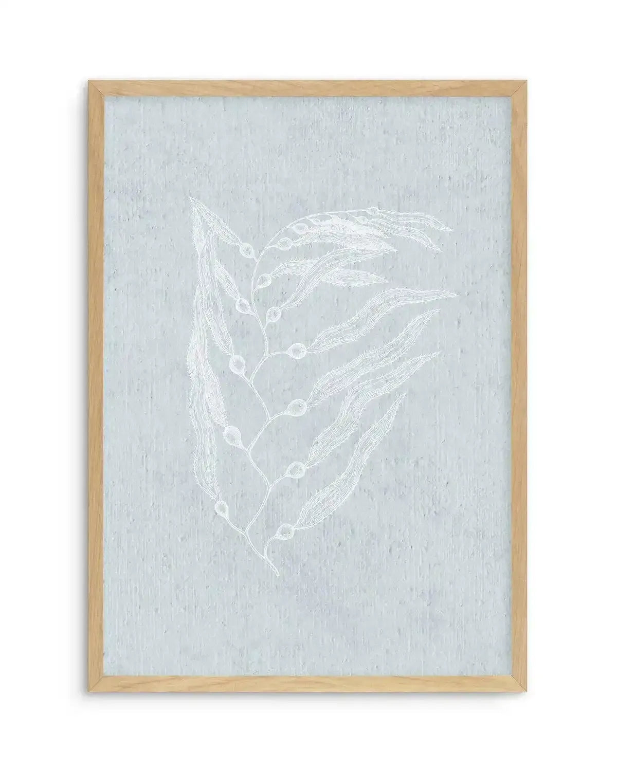 Hamptons Seaside Collection V White Art Print-PRINT-Olive et Oriel-Olive et Oriel-A5 | 5.8" x 8.3" | 14.8 x 21cm-Oak-With White Border-Buy-Australian-Art-Prints-Online-with-Olive-et-Oriel-Your-Artwork-Specialists-Austrailia-Decorate-With-Coastal-Photo-Wall-Art-Prints-From-Our-Beach-House-Artwork-Collection-Fine-Poster-and-Framed-Artwork