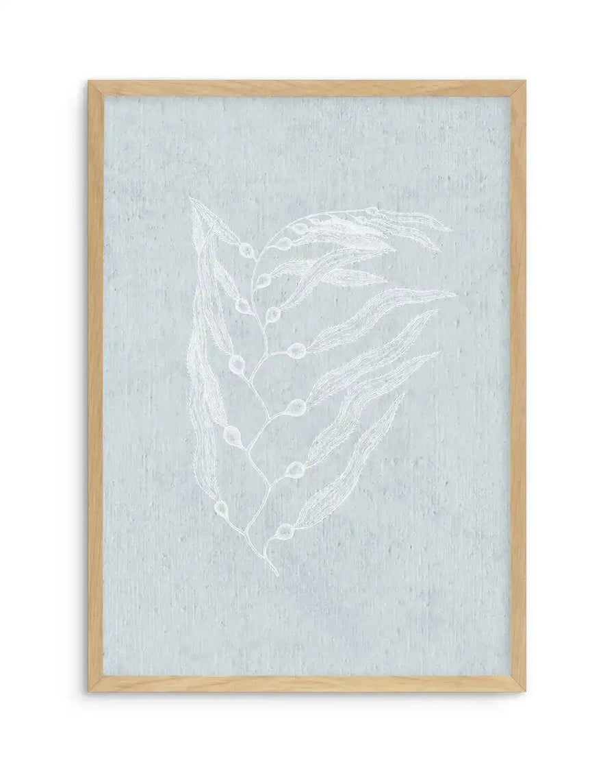 White botanical line drawing on pale blue-grey textured background, featuring delicate elongated seed pods or plant stems arranged in a vertical composition with small circular nodes along central vein, housed in natural light wood frame.