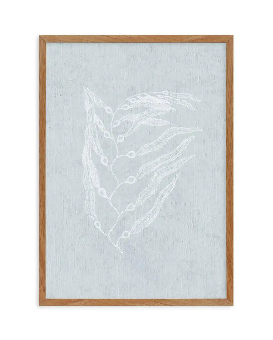 Framed art print featuring a delicate white botanical illustration on a light gray textured background. The design depicts elongated, curved leaves or seed pods arranged vertically, rendered in white with fine linear details and small circular elements along the stems. The artwork is presented in a natural wood frame with a subtle grain finish. The overall composition has a minimalist, coastal aesthetic with a soft, muted color palette.