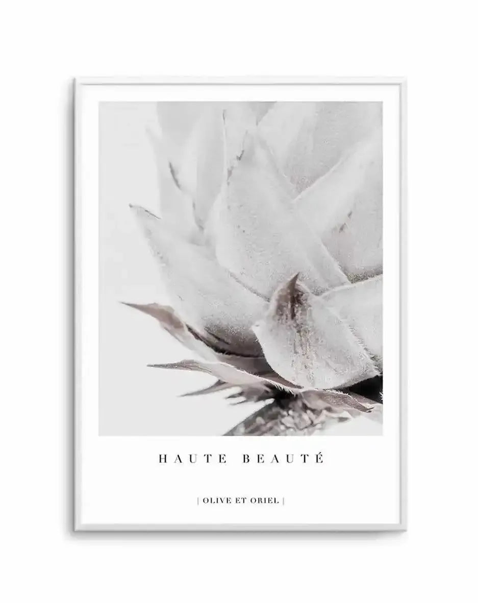 Haute Beaute | King Protea Art Print-PRINT-Olive et Oriel-Olive et Oriel-A4 | 8.3" x 11.7" | 21 x 29.7cm-Unframed Art Print-Buy-Australian-Art-Prints-Online-with-Olive-et-Oriel-Your-Artwork-Specialists-Austrailia-Decorate-With-Coastal-Photo-Wall-Art-Prints-From-Our-Beach-House-Artwork-Collection-Fine-Poster-and-Framed-Artwork