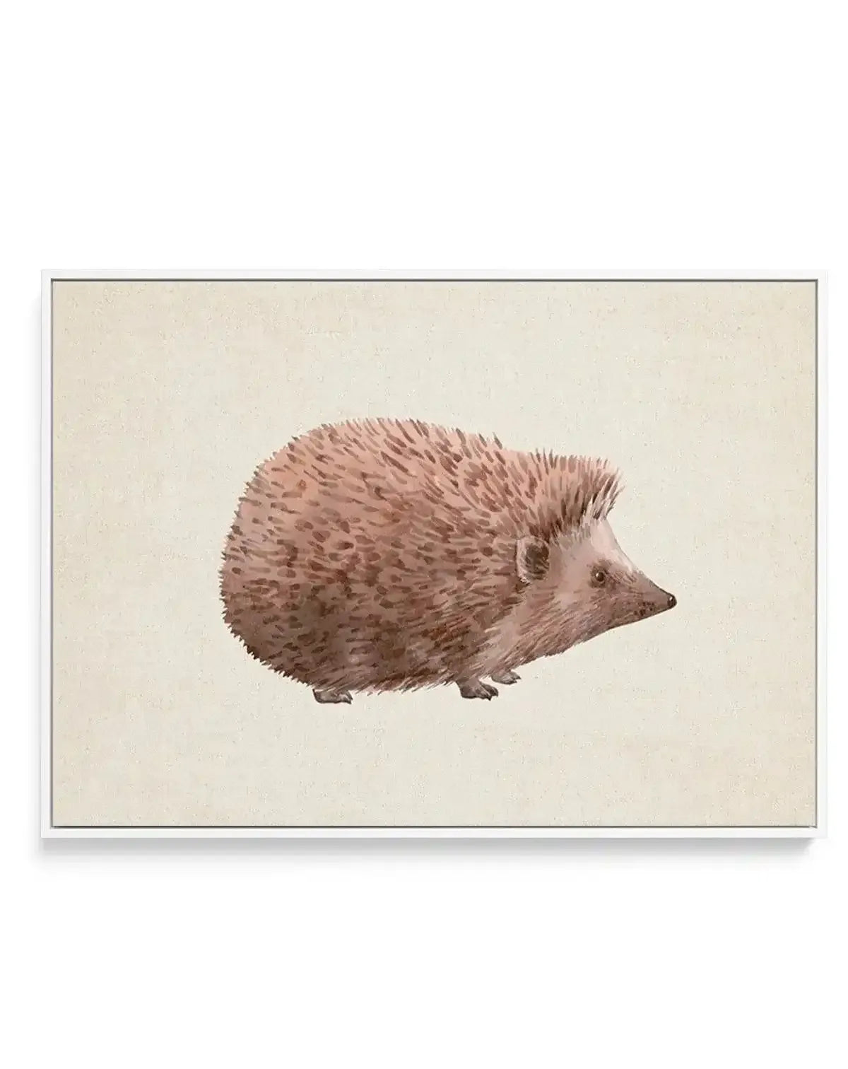 Hedgehog on Linen II | LS | Framed Canvas-CANVAS-You can shop wall art online with Olive et Oriel for everything from abstract art to fun kids wall art. Our beautiful modern art prints and canvas art are available from large canvas prints to wall art paintings and our proudly Australian artwork collection offers only the highest quality framed large wall art and canvas art Australia - You can buy fashion photography prints or Hampton print posters and paintings on canvas from Olive et Oriel and 