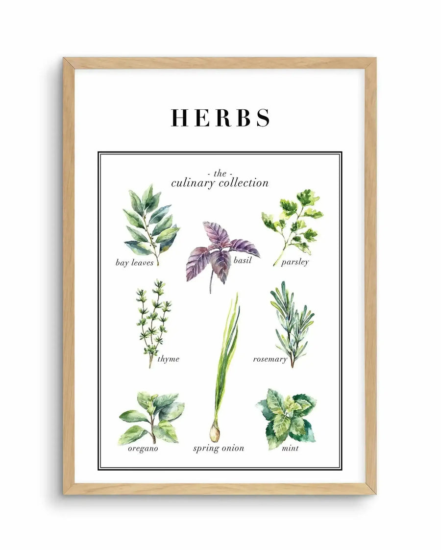 Watercolour art print featuring a collection of culinary herbs on a white background, displayed in a natural oak frame with white border. The print includes illustrations of bay leaves, basil, parsley, thyme, spring onion, rosemary, oregano, and mint, each with its name written below in a delicate script.