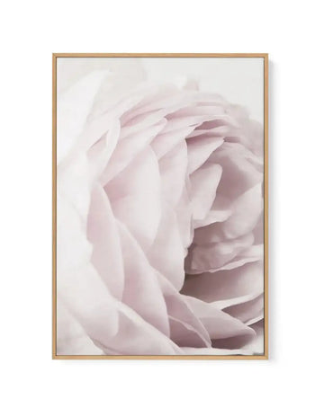 Heritage Rose | Framed Canvas-CANVAS-You can shop wall art online with Olive et Oriel for everything from abstract art to fun kids wall art. Our beautiful modern art prints and canvas art are available from large canvas prints to wall art paintings and our proudly Australian artwork collection offers only the highest quality framed large wall art and canvas art Australia - You can buy fashion photography prints or Hampton print posters and paintings on canvas from Olive et Oriel and have them de
