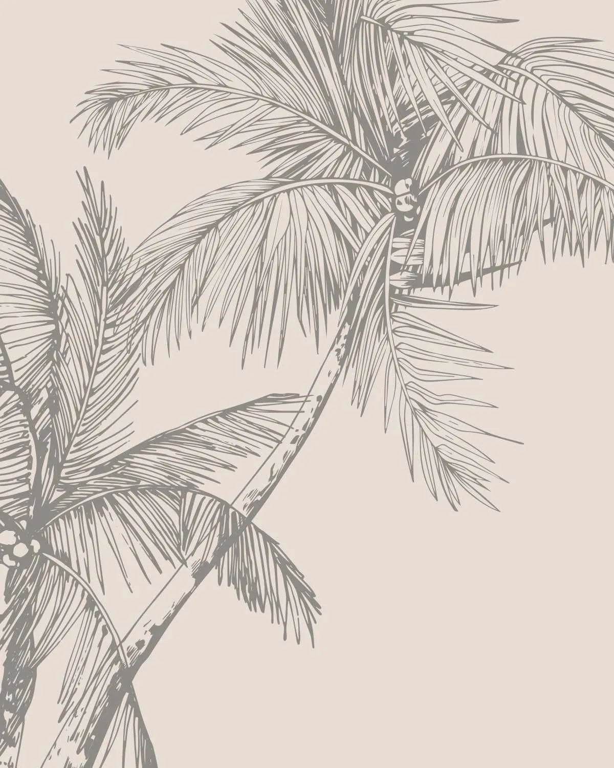 The Palms Wallpaper in Charcoal from Olive et Oriel where you can shop wallpaper and artworks online