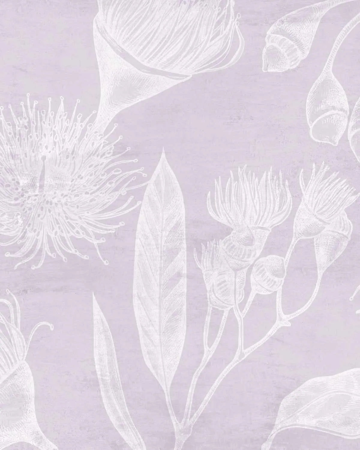 Flowering Gum in Lilac Wallpaper from Olive et Oriel where you can shop wallpaper and artworks online