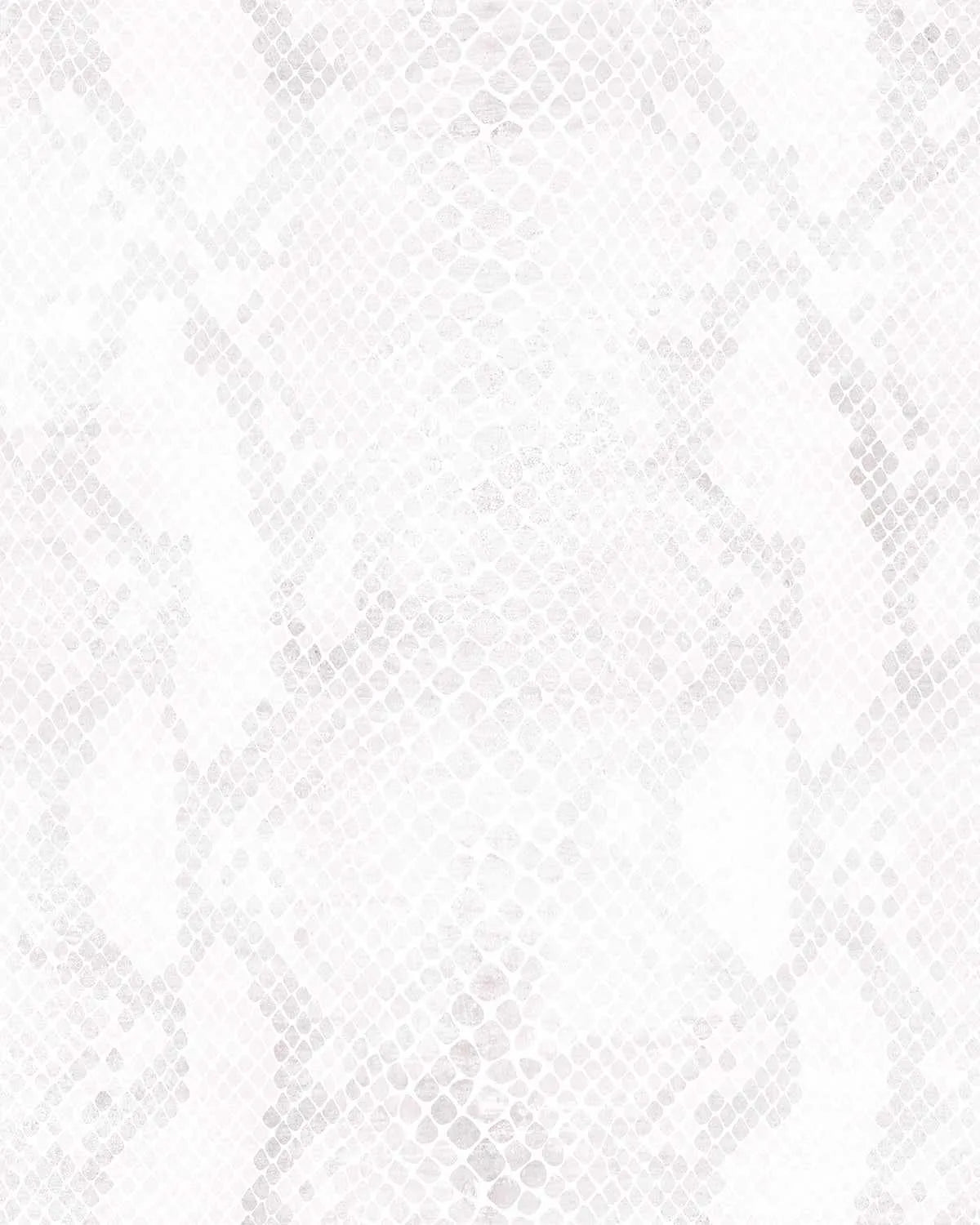 Snake Skin Wallpaper from Olive et Oriel where you can shop wallpaper and artworks online