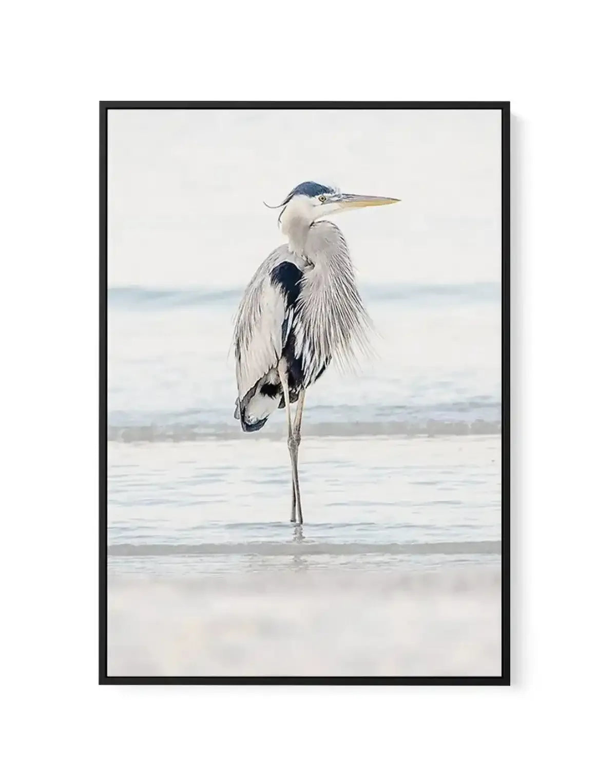 Heron No I | Framed Canvas-CANVAS-You can shop wall art online with Olive et Oriel for everything from abstract art to fun kids wall art. Our beautiful modern art prints and canvas art are available from large canvas prints to wall art paintings and our proudly Australian artwork collection offers only the highest quality framed large wall art and canvas art Australia - You can buy fashion photography prints or Hampton print posters and paintings on canvas from Olive et Oriel and have them deliv