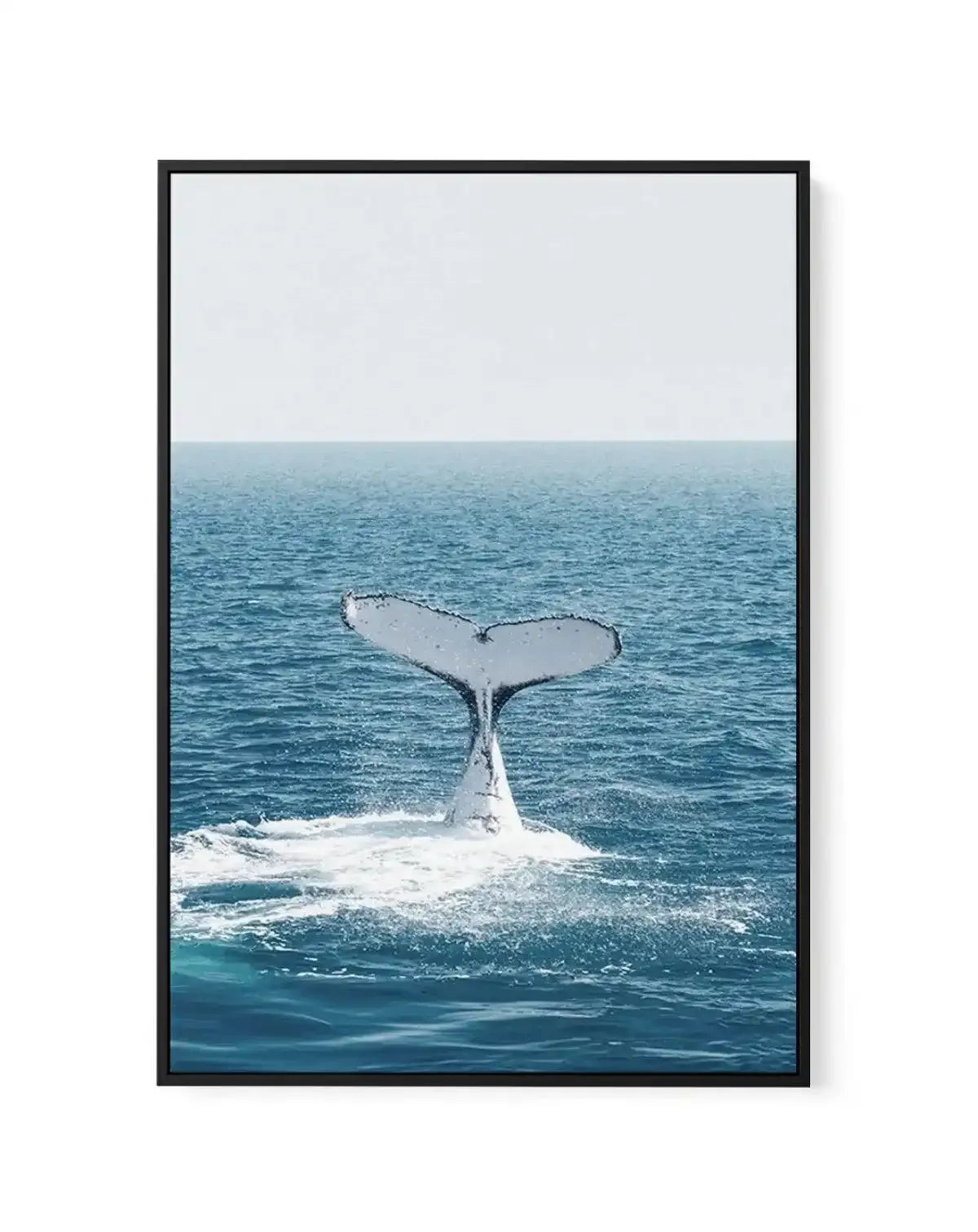 Hervey Bay Whale | Framed Canvas-CANVAS-You can shop wall art online with Olive et Oriel for everything from abstract art to fun kids wall art. Our beautiful modern art prints and canvas art are available from large canvas prints to wall art paintings and our proudly Australian artwork collection offers only the highest quality framed large wall art and canvas art Australia - You can buy fashion photography prints or Hampton print posters and paintings on canvas from Olive et Oriel and have them