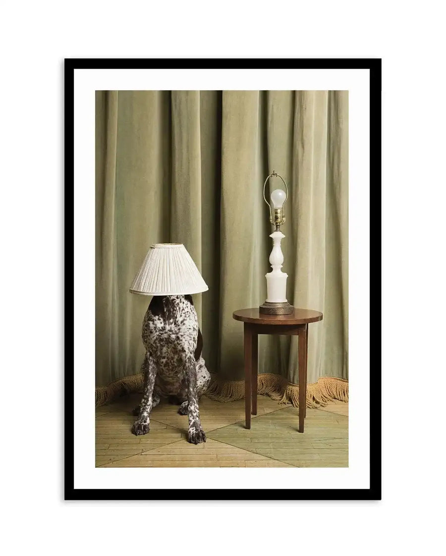 Framed photograph of a German Shorthaired Pointer dog sitting on a light green wooden floor with a pleated white lampshade covering its head. Behind the dog is a sage green velvet curtain. To the right, a small round wooden table holds a white ceramic lamp base with a bare lightbulb.