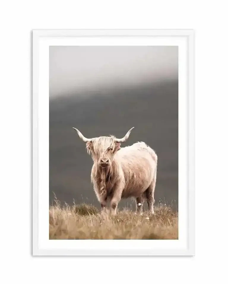 Framed photography art print of a Highland cow standing in a field of dry grass, with a white frame and white border. The cow has long, shaggy cream-coloured fur and prominent horns, with its face obscured by its fringe. The background is a soft, muted grey, suggesting an overcast sky or distant hills.
