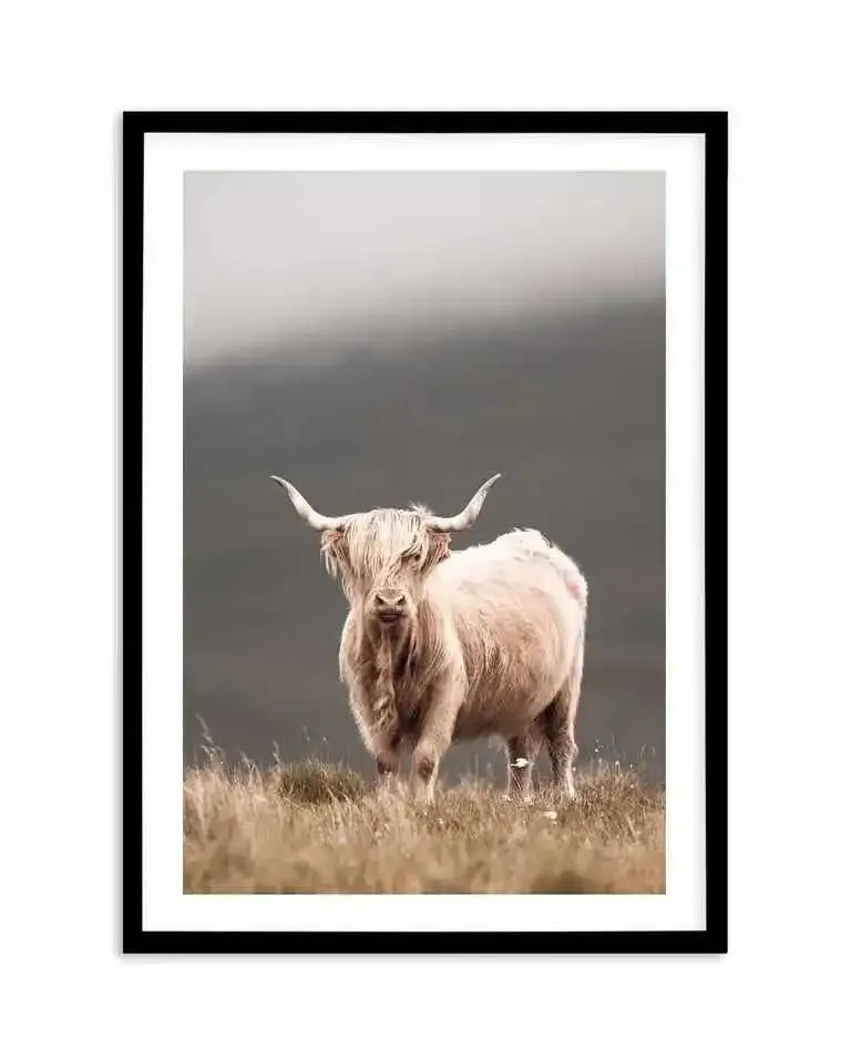 Framed photography art print of a Highland cow standing in a field of dry grass, with a black frame and white border. The cow has long, shaggy, light cream-colored hair covering its eyes and large, curved horns. The background is a soft gradient of light grey to dark grey, suggesting an overcast sky or misty conditions.