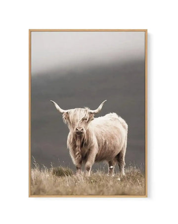 Framed canvas art print featuring a cream-colored Highland cattle with long horns and shaggy coat, standing in sparse grassland. The animal faces the camera against a moody, gradient sky transitioning from light gray at the top to dark charcoal at the bottom. Natural wooden frame with warm tan finish. The photograph-style artwork captures fine detail in the cow's textured fur and facial features, evoking a contemplative, atmospheric highland landscape setting.