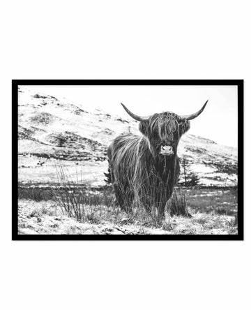 Black and white framed art print featuring a Highland cattle standing in a sparse, mountainous landscape. The animal faces forward, displaying its distinctive long curved horns and thick, shaggy coat covering its eyes. The background shows rolling hills with patches of snow and sparse vegetation. The photograph has high contrast with deep blacks and bright whites, emphasizing fine details in the animal's fur and the rugged terrain. The print is mounted in a black frame with a white border.