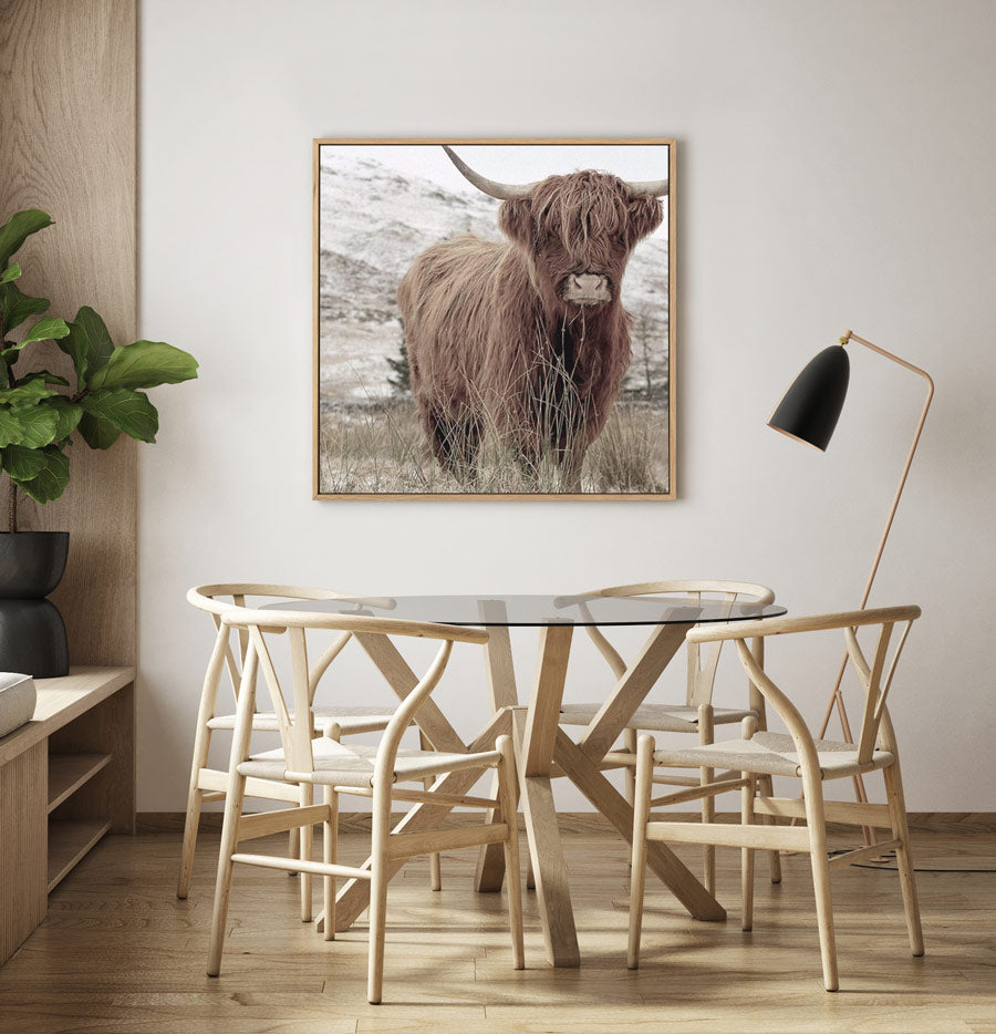 Order animal photo canvas artworks online like this highlander cow canvas framed art print