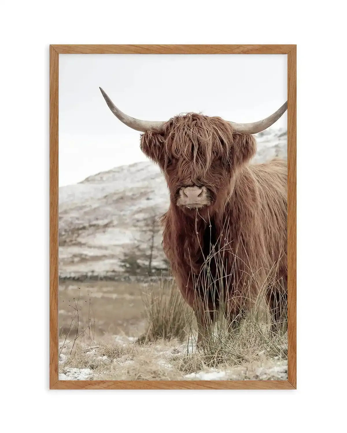 Highlander | PT Art Print-PRINT-Olive et Oriel-Olive et Oriel-50x70 cm | 19.6" x 27.5"-Walnut-With White Border-Buy-Australian-Art-Prints-Online-with-Olive-et-Oriel-Your-Artwork-Specialists-Austrailia-Decorate-With-Coastal-Photo-Wall-Art-Prints-From-Our-Beach-House-Artwork-Collection-Fine-Poster-and-Framed-Artwork