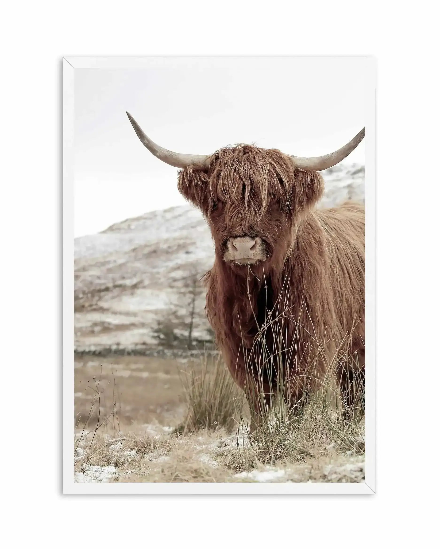 Highlander | PT Art Print-PRINT-Olive et Oriel-Olive et Oriel-A5 | 5.8" x 8.3" | 14.8 x 21cm-White-With White Border-Buy-Australian-Art-Prints-Online-with-Olive-et-Oriel-Your-Artwork-Specialists-Austrailia-Decorate-With-Coastal-Photo-Wall-Art-Prints-From-Our-Beach-House-Artwork-Collection-Fine-Poster-and-Framed-Artwork