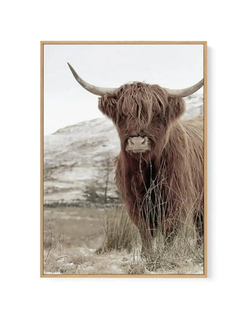 Highlander | PT | Framed Canvas-CANVAS-You can shop wall art online with Olive et Oriel for everything from abstract art to fun kids wall art. Our beautiful modern art prints and canvas art are available from large canvas prints to wall art paintings and our proudly Australian artwork collection offers only the highest quality framed large wall art and canvas art Australia - You can buy fashion photography prints or Hampton print posters and paintings on canvas from Olive et Oriel and have them 