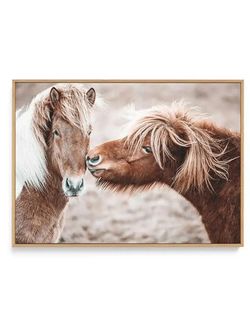 Horse Kisses | Framed Canvas Art Print brown nature art print