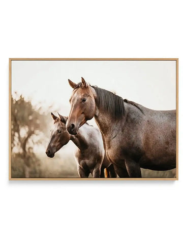 Framed canvas art print featuring a photographic image of an adult horse and young foal standing together in a misty field. The horses have warm brown and gray tones with darker manes. The background shows soft, blurred evergreen trees and overcast sky in muted beige and gray tones, creating a serene, atmospheric mood. The canvas is mounted in a natural wood frame with a white border.