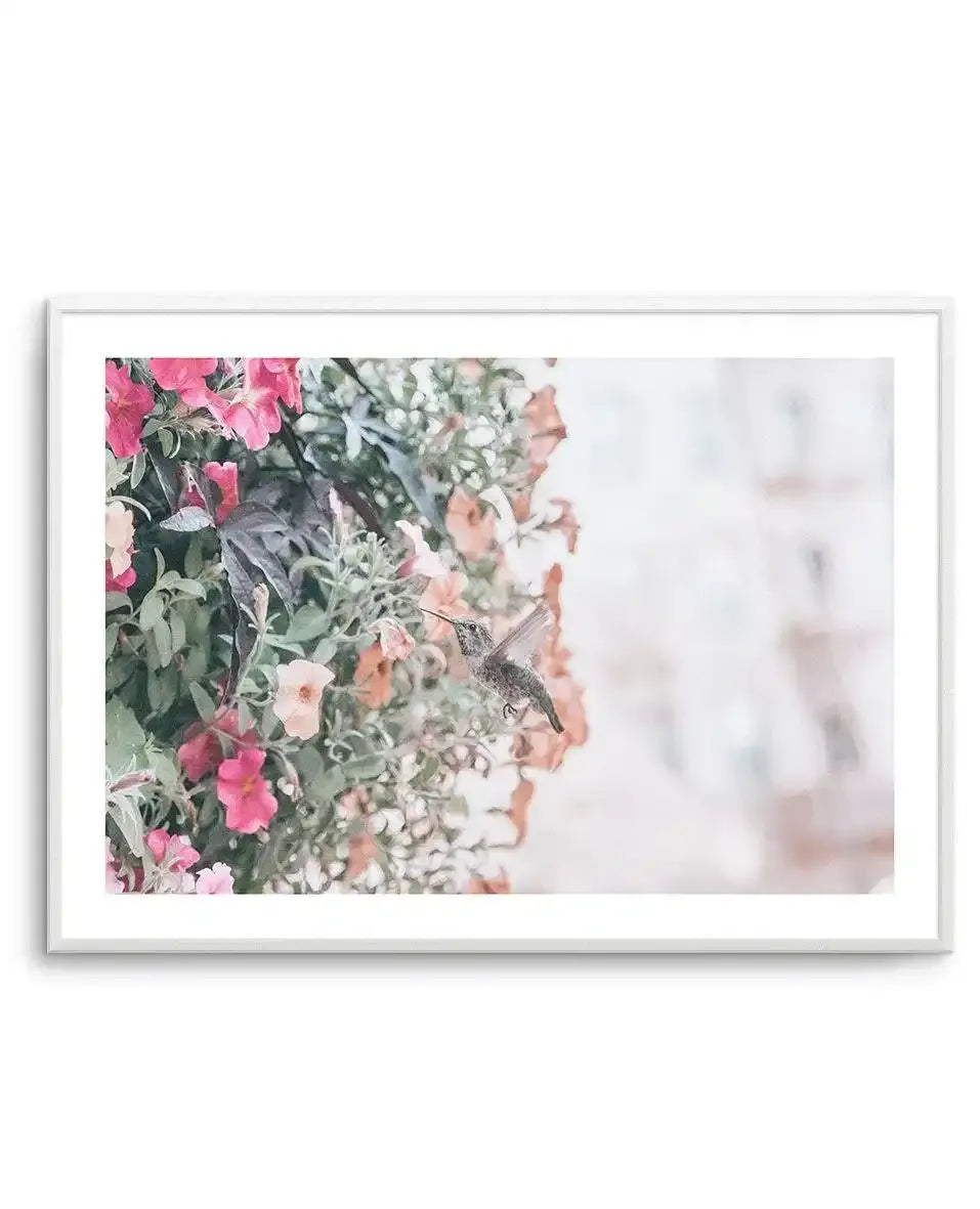 Hummingbird | Rodeo Drive Art Print-PRINT-Olive et Oriel-Olive et Oriel-A4 | 8.3" x 11.7" | 21 x 29.7cm-Unframed Art Print-With White Border-Buy-Australian-Art-Prints-Online-with-Olive-et-Oriel-Your-Artwork-Specialists-Austrailia-Decorate-With-Coastal-Photo-Wall-Art-Prints-From-Our-Beach-House-Artwork-Collection-Fine-Poster-and-Framed-Artwork