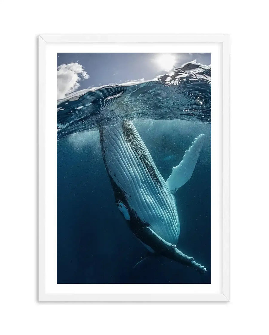 Framed photograph of a humpback whale swimming in deep blue water, viewed from below the surface. The whale's pale underside with distinct pleats is visible, with its long pectoral fin extended to the right. Sunlight streams through the water from above, creating a bright reflection on the rippling surface and illuminating scattered particles in the water. The print is displayed in a white frame with a white border.