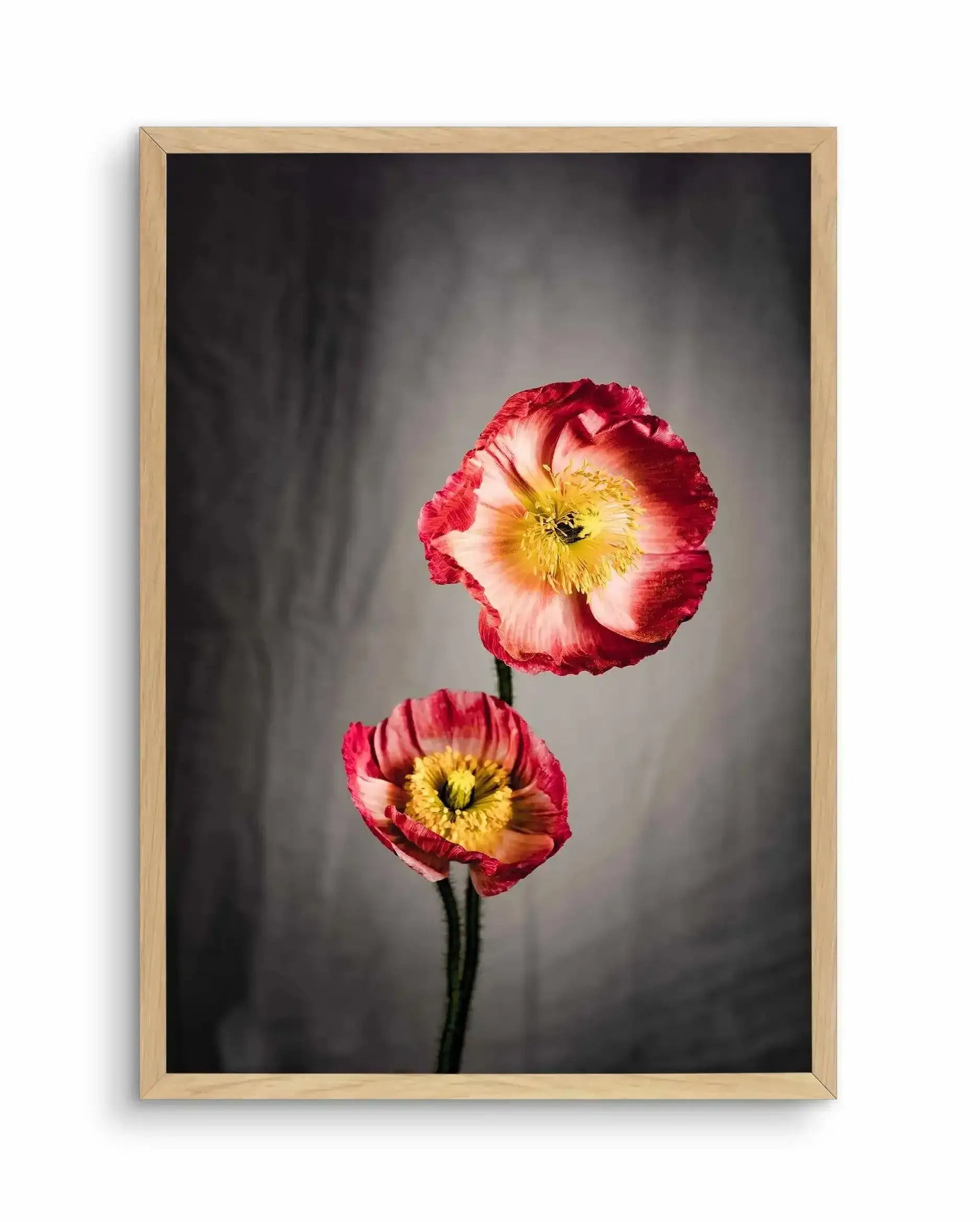 I Don't Think It's Love Art Print-PRINT-Olive et Oriel-Olive et Oriel-A5 | 5.8" x 8.3" | 14.8 x 21cm-Oak-With White Border-Buy-Australian-Art-Prints-Online-with-Olive-et-Oriel-Your-Artwork-Specialists-Austrailia-Decorate-With-Coastal-Photo-Wall-Art-Prints-From-Our-Beach-House-Artwork-Collection-Fine-Poster-and-Framed-Artwork