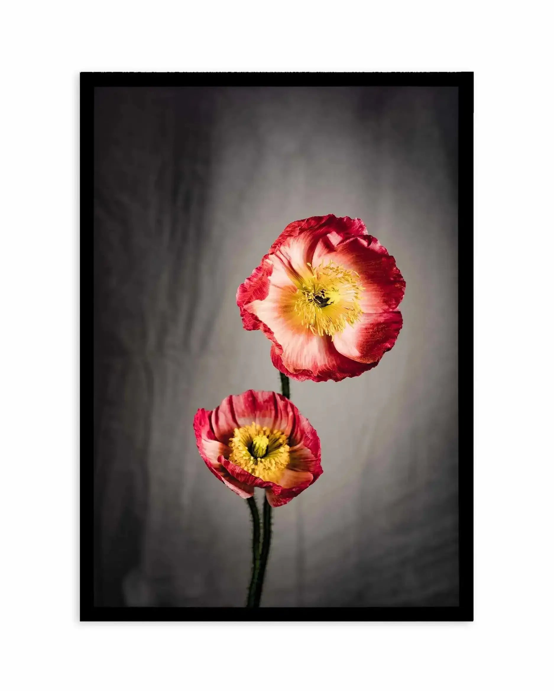 I Don't Think It's Love Art Print-PRINT-Olive et Oriel-Olive et Oriel-A5 | 5.8" x 8.3" | 14.8 x 21cm-Black-With White Border-Buy-Australian-Art-Prints-Online-with-Olive-et-Oriel-Your-Artwork-Specialists-Austrailia-Decorate-With-Coastal-Photo-Wall-Art-Prints-From-Our-Beach-House-Artwork-Collection-Fine-Poster-and-Framed-Artwork