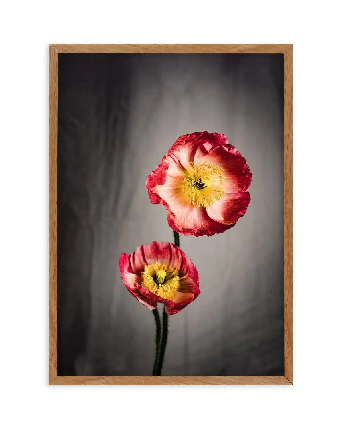 I Don't Think It's Love Art Print-PRINT-Olive et Oriel-Olive et Oriel-50x70 cm | 19.6" x 27.5"-Walnut-With White Border-Buy-Australian-Art-Prints-Online-with-Olive-et-Oriel-Your-Artwork-Specialists-Austrailia-Decorate-With-Coastal-Photo-Wall-Art-Prints-From-Our-Beach-House-Artwork-Collection-Fine-Poster-and-Framed-Artwork