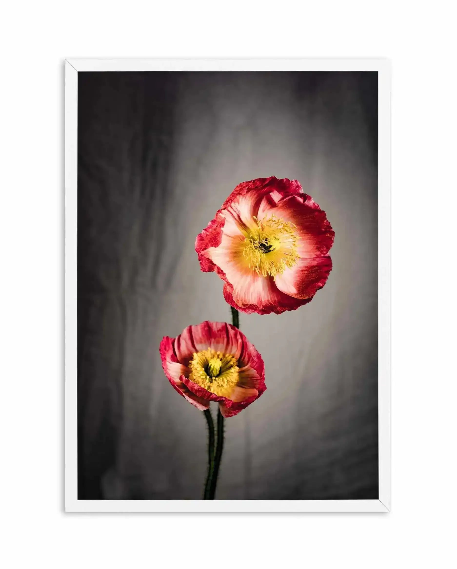 I Don't Think It's Love Art Print-PRINT-Olive et Oriel-Olive et Oriel-A5 | 5.8" x 8.3" | 14.8 x 21cm-White-With White Border-Buy-Australian-Art-Prints-Online-with-Olive-et-Oriel-Your-Artwork-Specialists-Austrailia-Decorate-With-Coastal-Photo-Wall-Art-Prints-From-Our-Beach-House-Artwork-Collection-Fine-Poster-and-Framed-Artwork