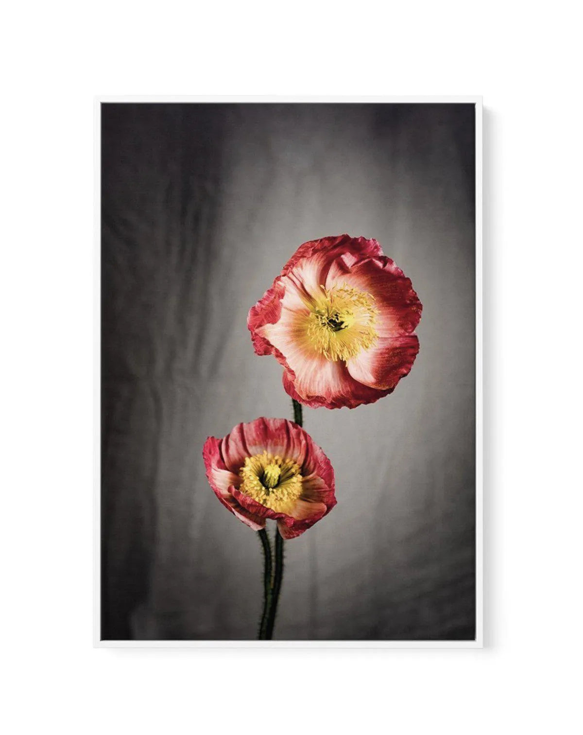 I Don't Think It's Love | Framed Canvas-CANVAS-You can shop wall art online with Olive et Oriel for everything from abstract art to fun kids wall art. Our beautiful modern art prints and canvas art are available from large canvas prints to wall art paintings and our proudly Australian artwork collection offers only the highest quality framed large wall art and canvas art Australia - You can buy fashion photography prints or Hampton print posters and paintings on canvas from Olive et Oriel and ha