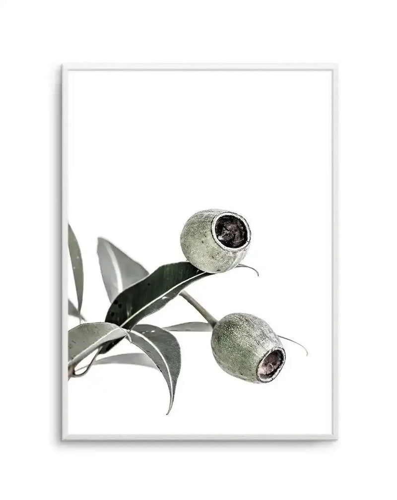 Framed art print featuring a minimalist botanical illustration of eucalyptus branches with grey-green foliage and two round seed pods with dark centers against a white background. The artwork is displayed in a silver-toned frame with a white border, presented on a plain white backdrop showing the print's clean, botanical aesthetic with soft grey tones and natural textures.