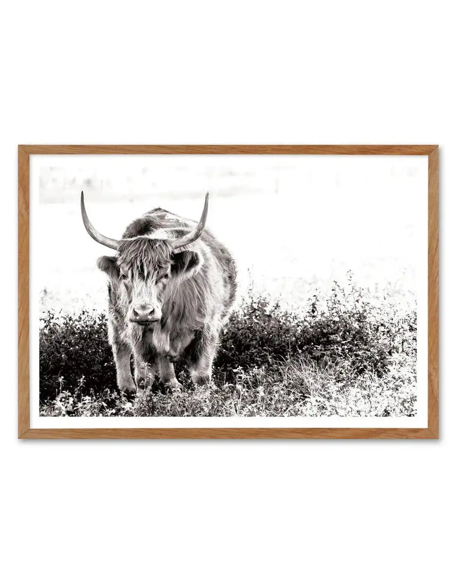 Black and white art print featuring a long-haired Highland cattle standing in a wildflower meadow, facing toward the camera with prominent curved horns and shaggy coat. The photograph has high contrast with detailed texture in the animal's fur and vegetation. The print is mounted in a natural wood frame with a white border against a plain background.