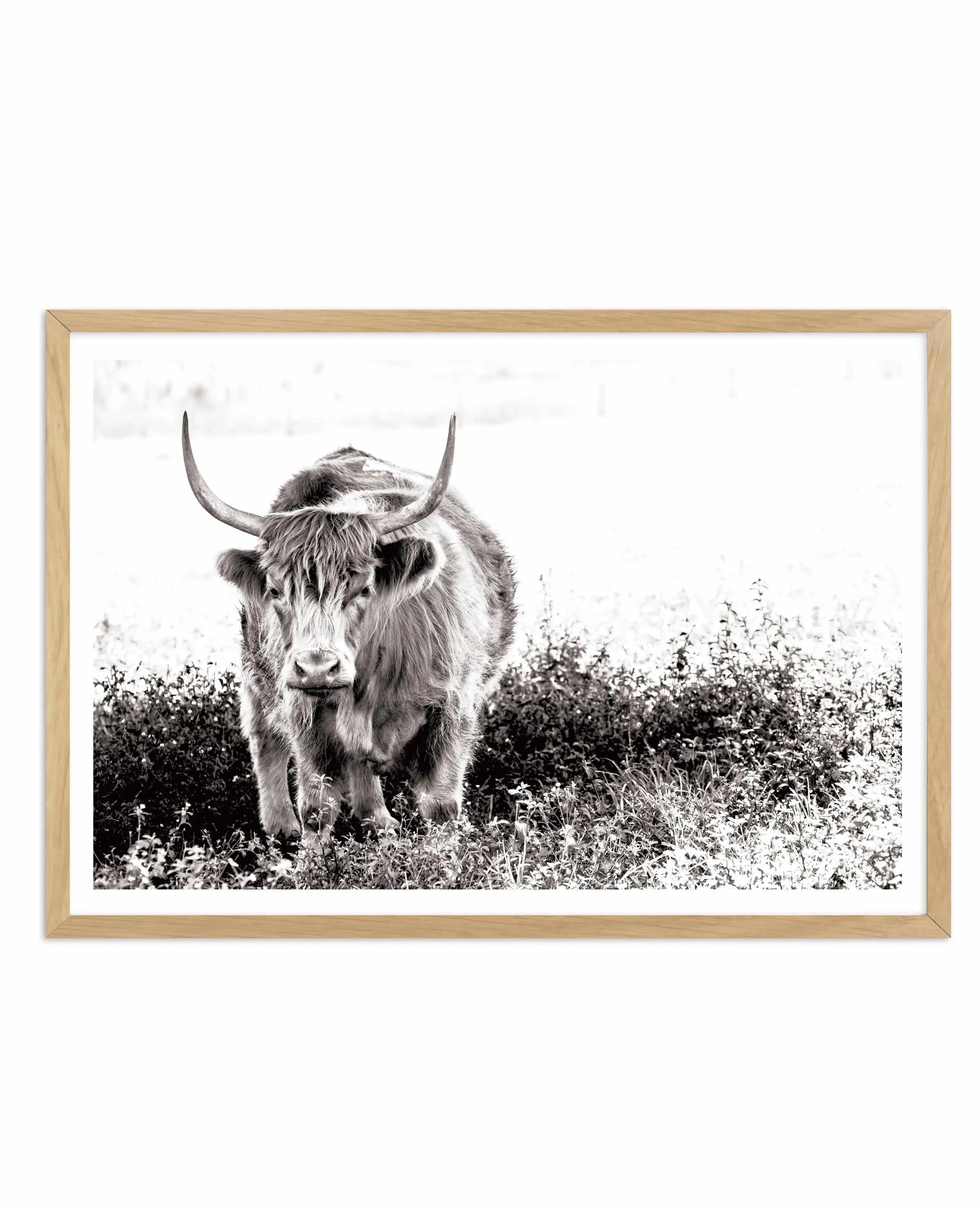 In The Highlands Art Print-PRINT-Olive et Oriel-Olive et Oriel-A4 | 8.3" x 11.7" | 21 x 29.7cm-Oak-With White Border-Buy-Australian-Art-Prints-Online-with-Olive-et-Oriel-Your-Artwork-Specialists-Austrailia-Decorate-With-Coastal-Photo-Wall-Art-Prints-From-Our-Beach-House-Artwork-Collection-Fine-Poster-and-Framed-Artwork