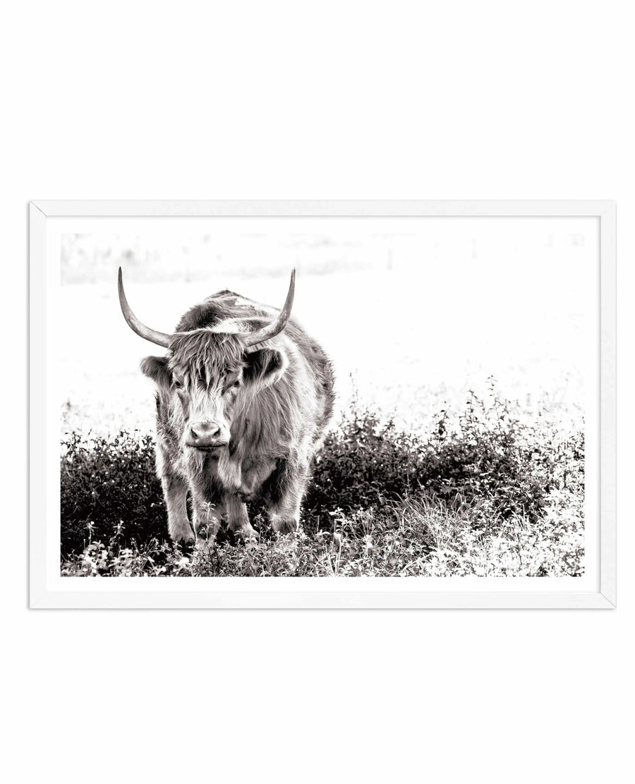 Black and white photographic art print depicting a long-haired Highland cattle standing in a natural landscape with sparse vegetation and shrubland. The animal faces directly toward the viewer, displaying its characteristic long horns that curve upward and outward, shaggy coat, and prominent facial features. The background shows an overcast sky and low brush. The photograph is mounted in a white frame with a white border, creating a clean, minimalist presentation.