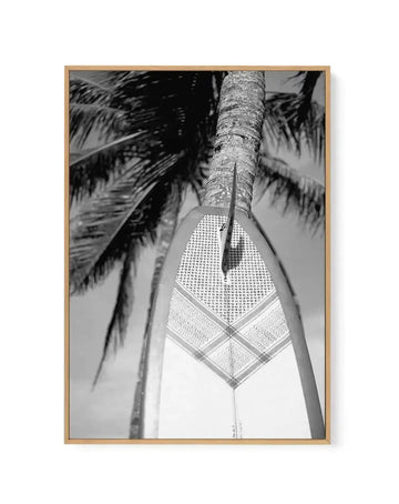 Framed black and white photograph of a stand-up paddleboard leaning against a palm tree, with a natural wood frame and white border. The composition captures the textured trunk of the palm tree and the patterned deck of the paddleboard, with palm fronds visible in the background against a bright sky.